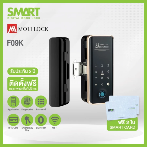 Smart Digital Lock Molilock รุ่น F09