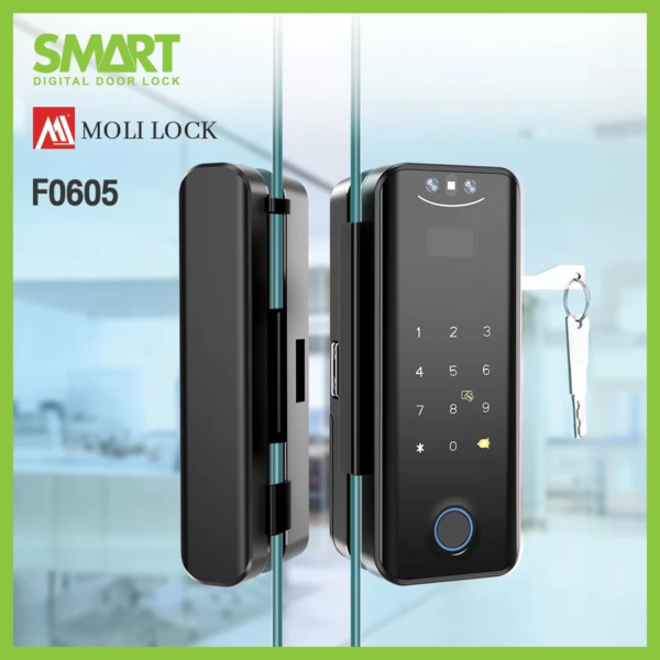 Smart Digital Lock Molilock รุ่น F605 - Image 3