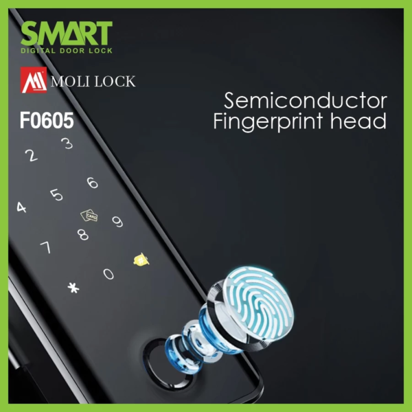 Smart Digital Lock Molilock รุ่น F605 - Image 5